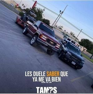 Meet your Posher, Hector